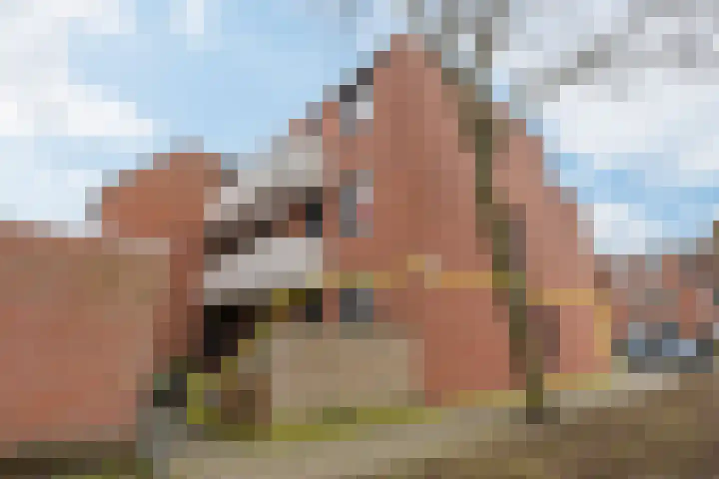 Schorpioen 7 Katwijk