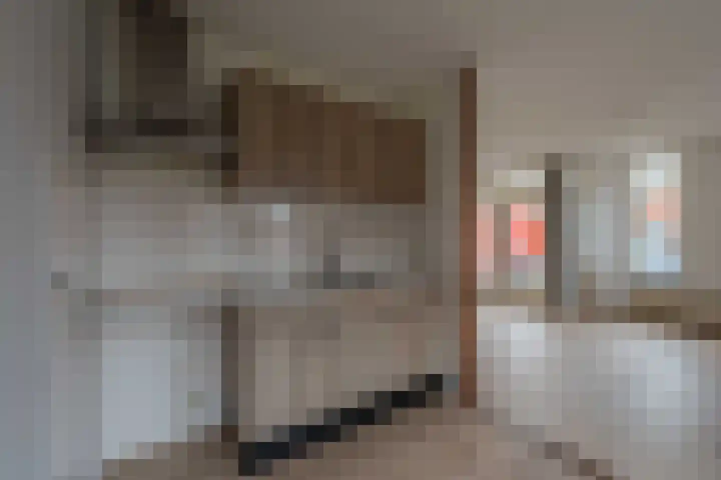 Schorpioen 7 Katwijk thumbnail 16