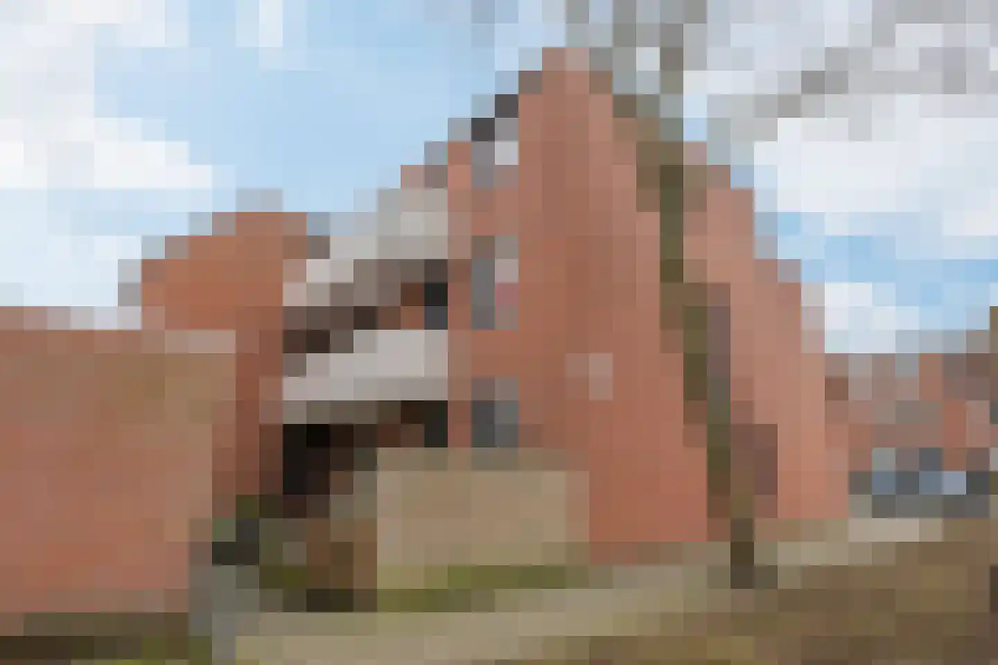 Schorpioen 7 Katwijk thumbnail 24