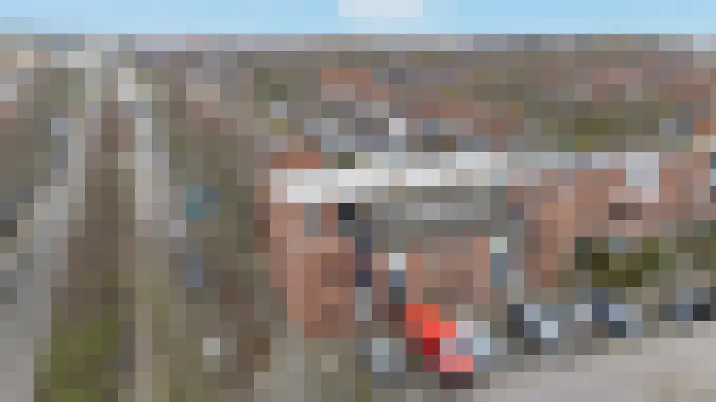 Schorpioen 7 Katwijk thumbnail 5