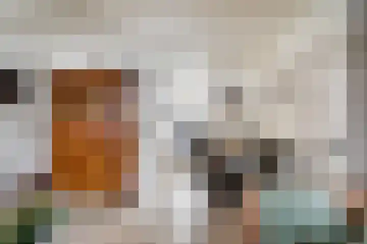 Schorpioen 8 Katwijk thumbnail 11