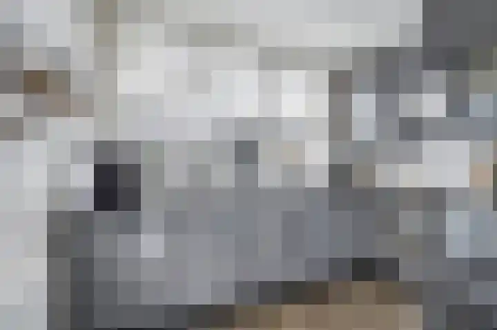 Schorpioen 8 Katwijk thumbnail 13