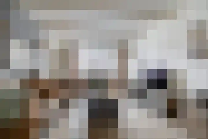 Schorpioen 8 Katwijk thumbnail 9
