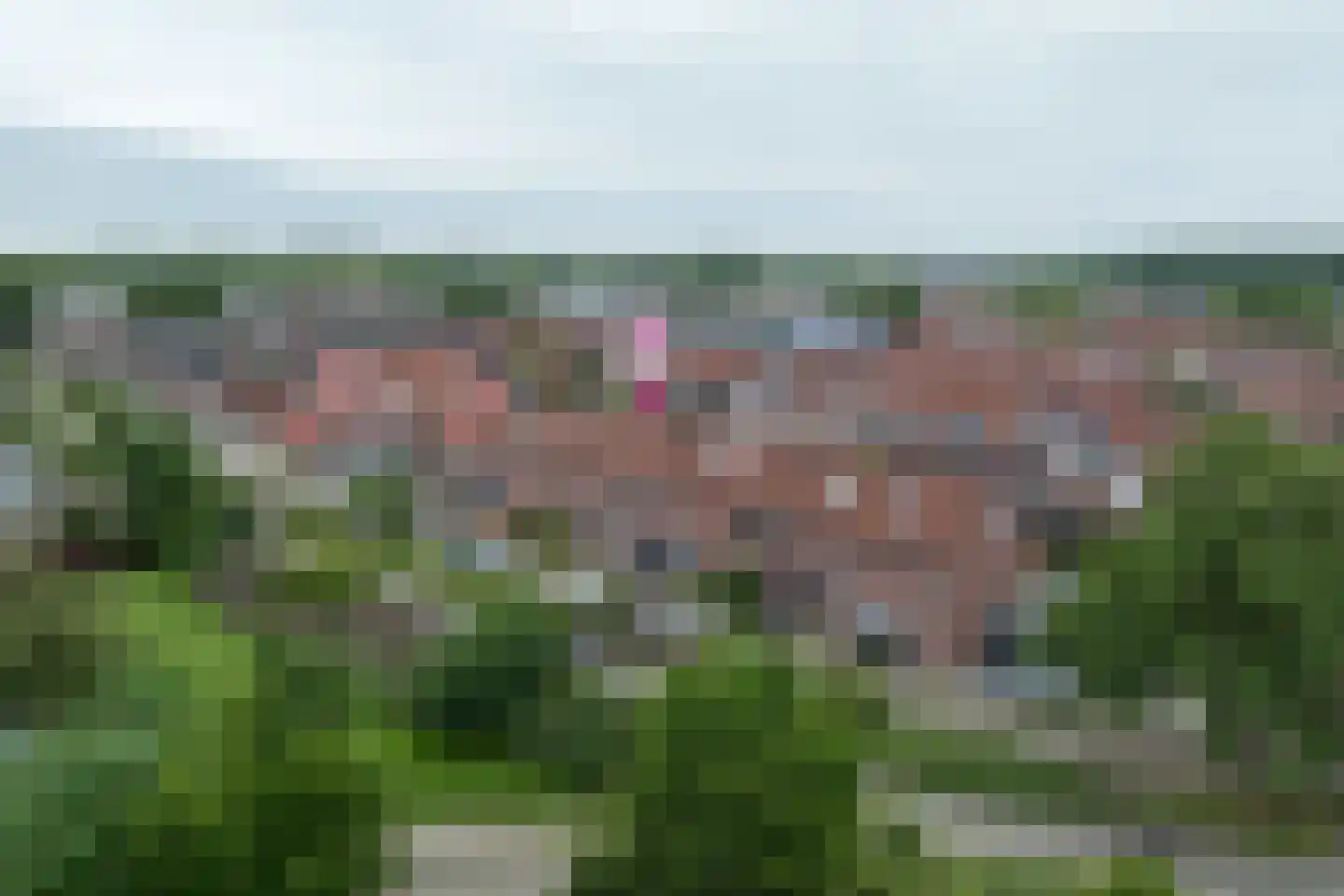 Schorpioen 9 Hellevoetsluis thumbnail 36