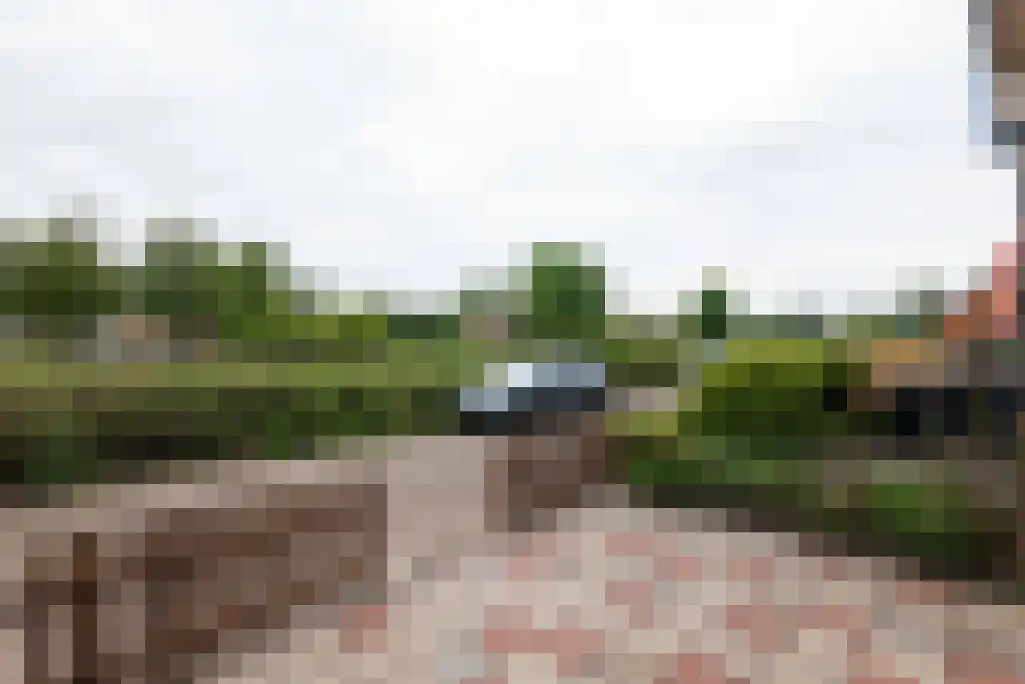 Schorpioen 9 Hellevoetsluis thumbnail 4