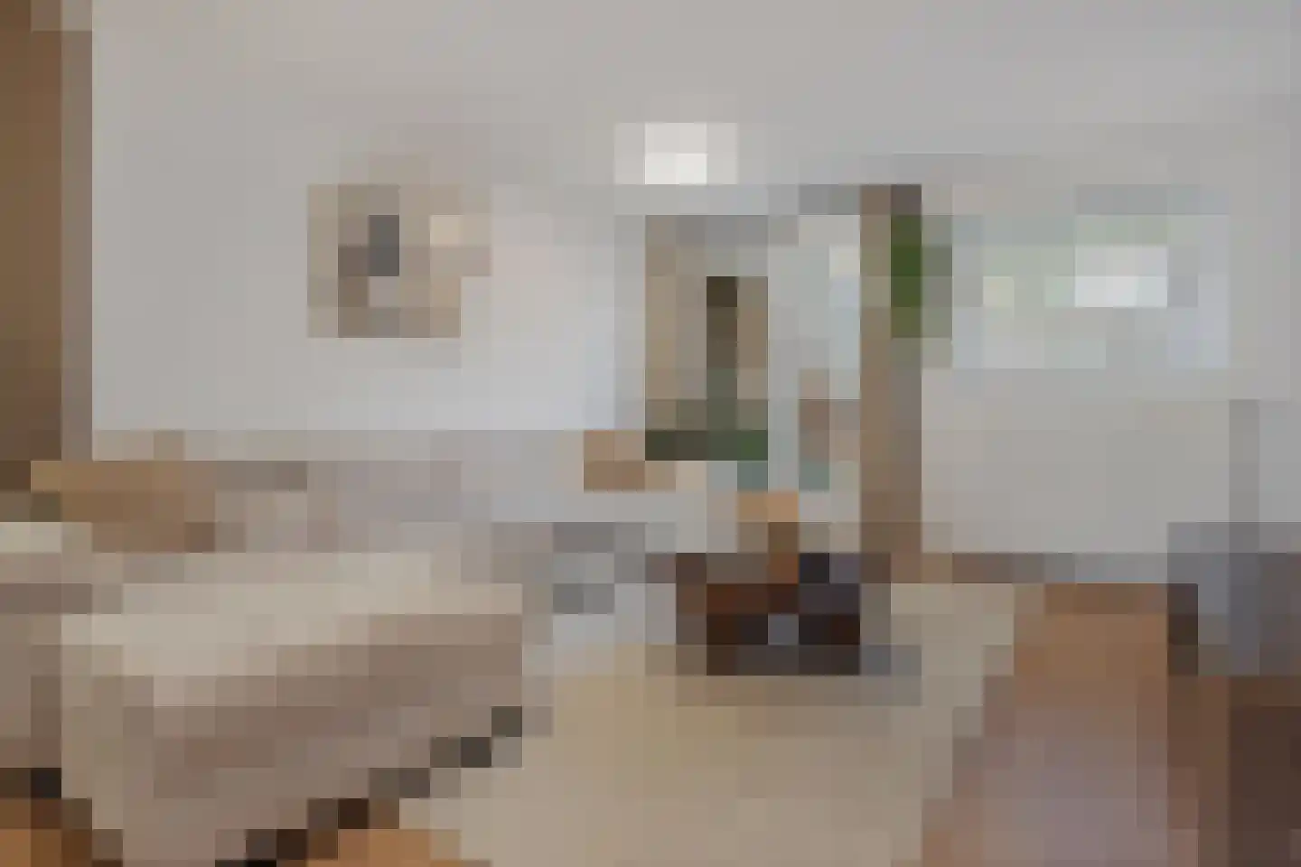 Schorpioenstraat 1 Eindhoven thumbnail 11