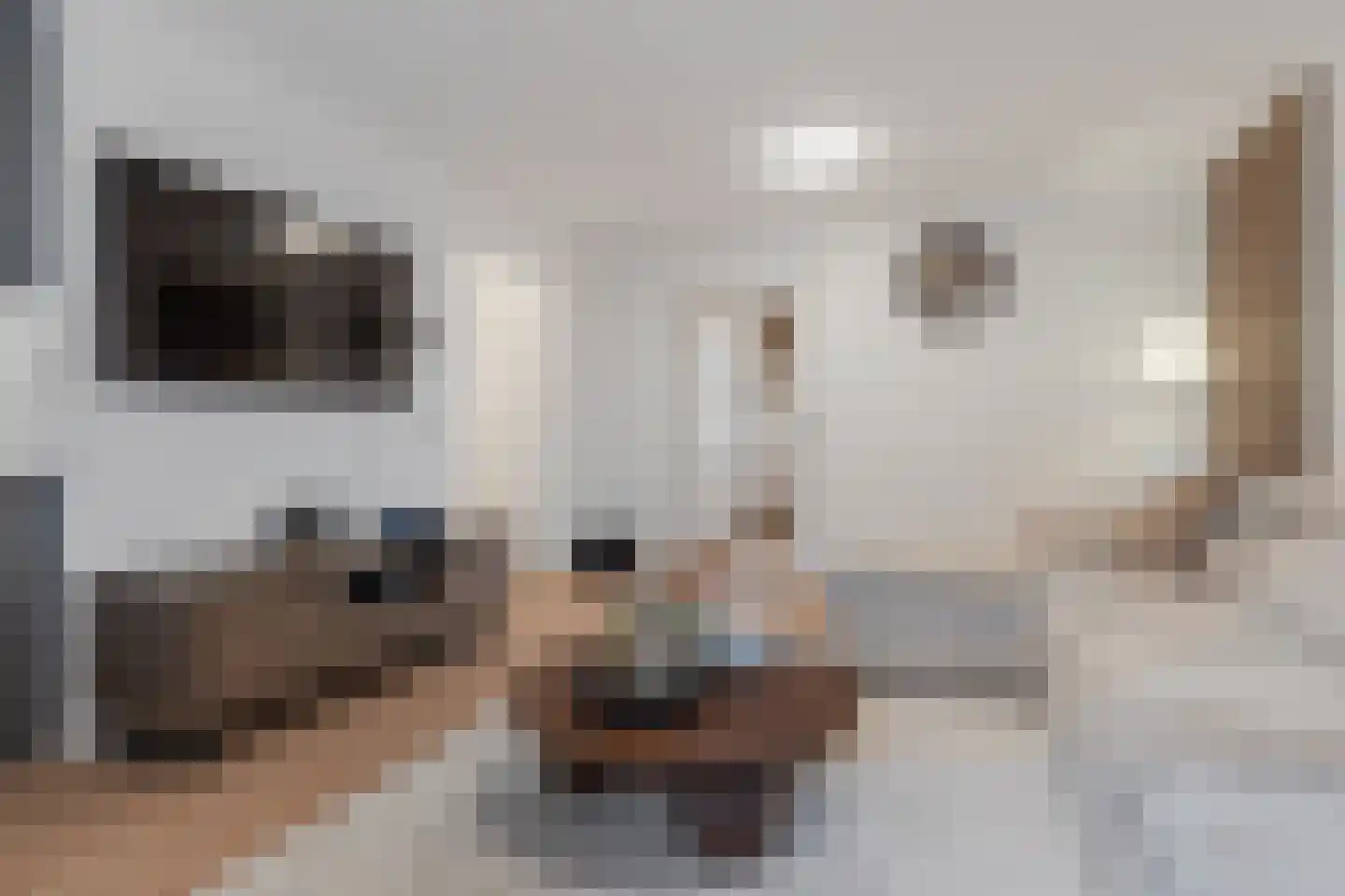 Schorpioenstraat 1 Eindhoven thumbnail 13