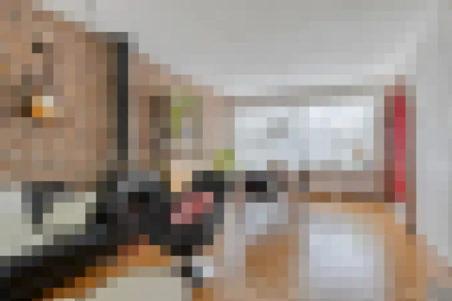 Schorpioenstraat 13 Eindhoven thumbnail 11