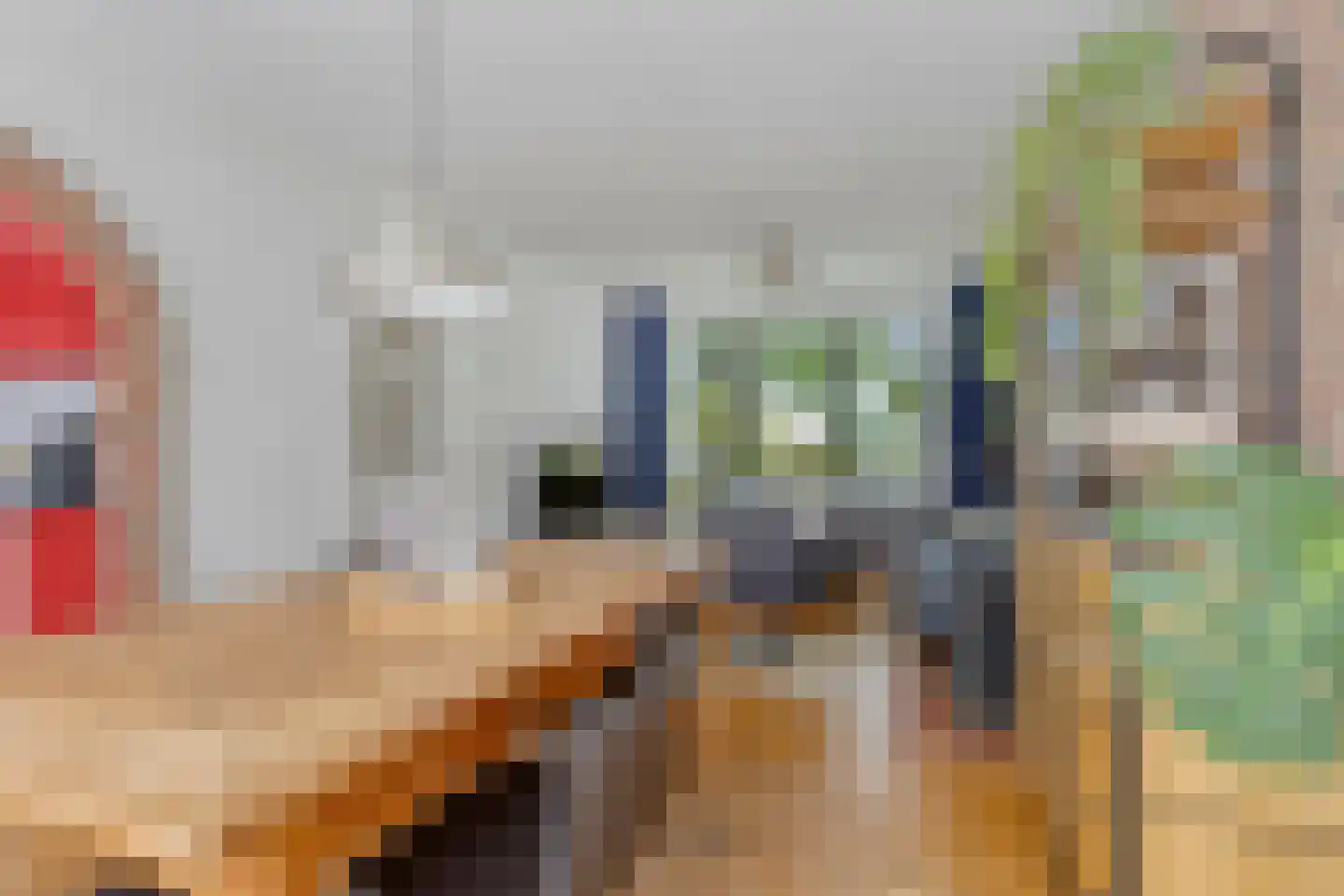 Schorpioenstraat 13 Eindhoven thumbnail 15