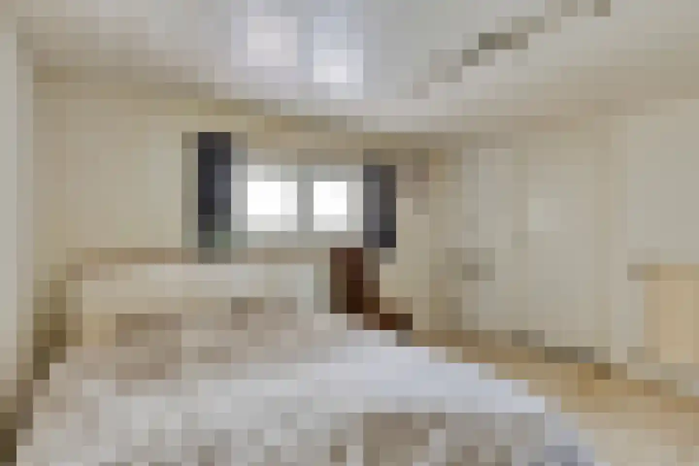 Schorpioenstraat 13 Eindhoven thumbnail 20