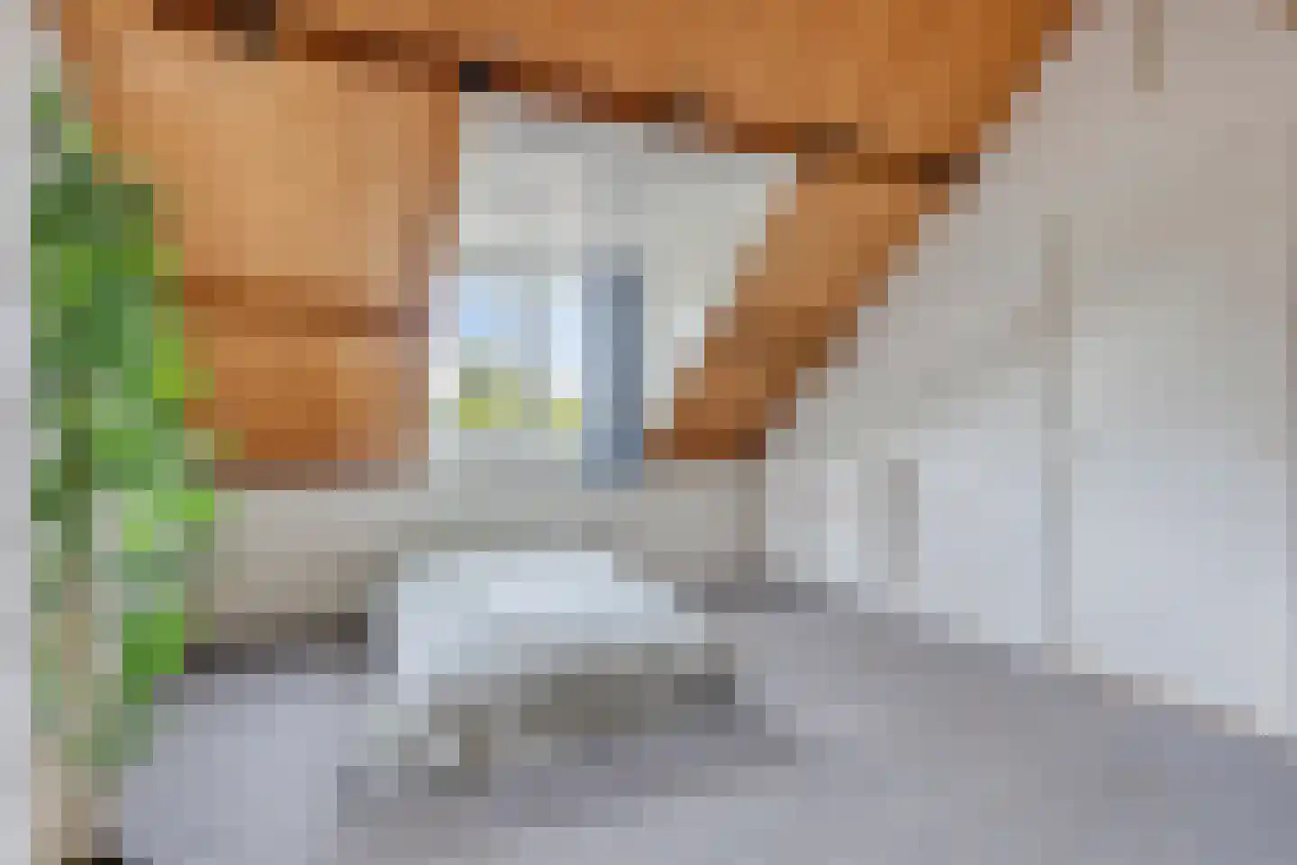 Schorpioenstraat 13 Eindhoven thumbnail 34