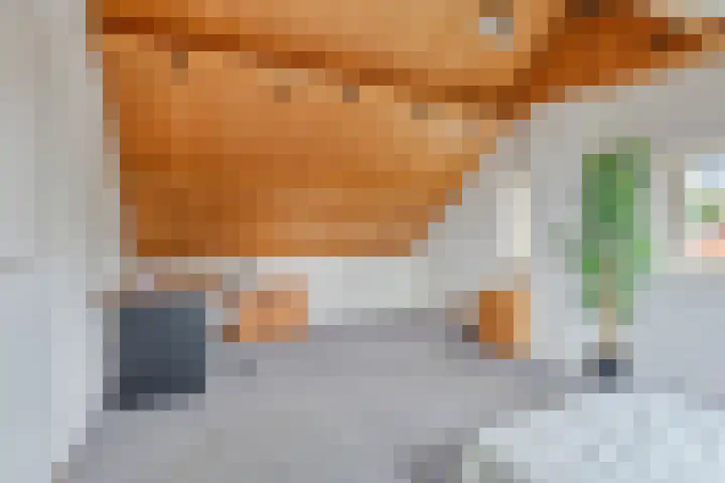 Schorpioenstraat 13 Eindhoven thumbnail 35