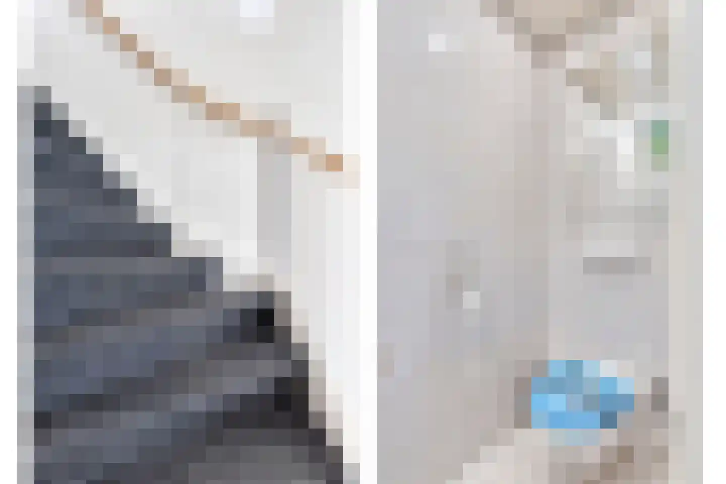 Schorpioenstraat 13 Eindhoven thumbnail 8