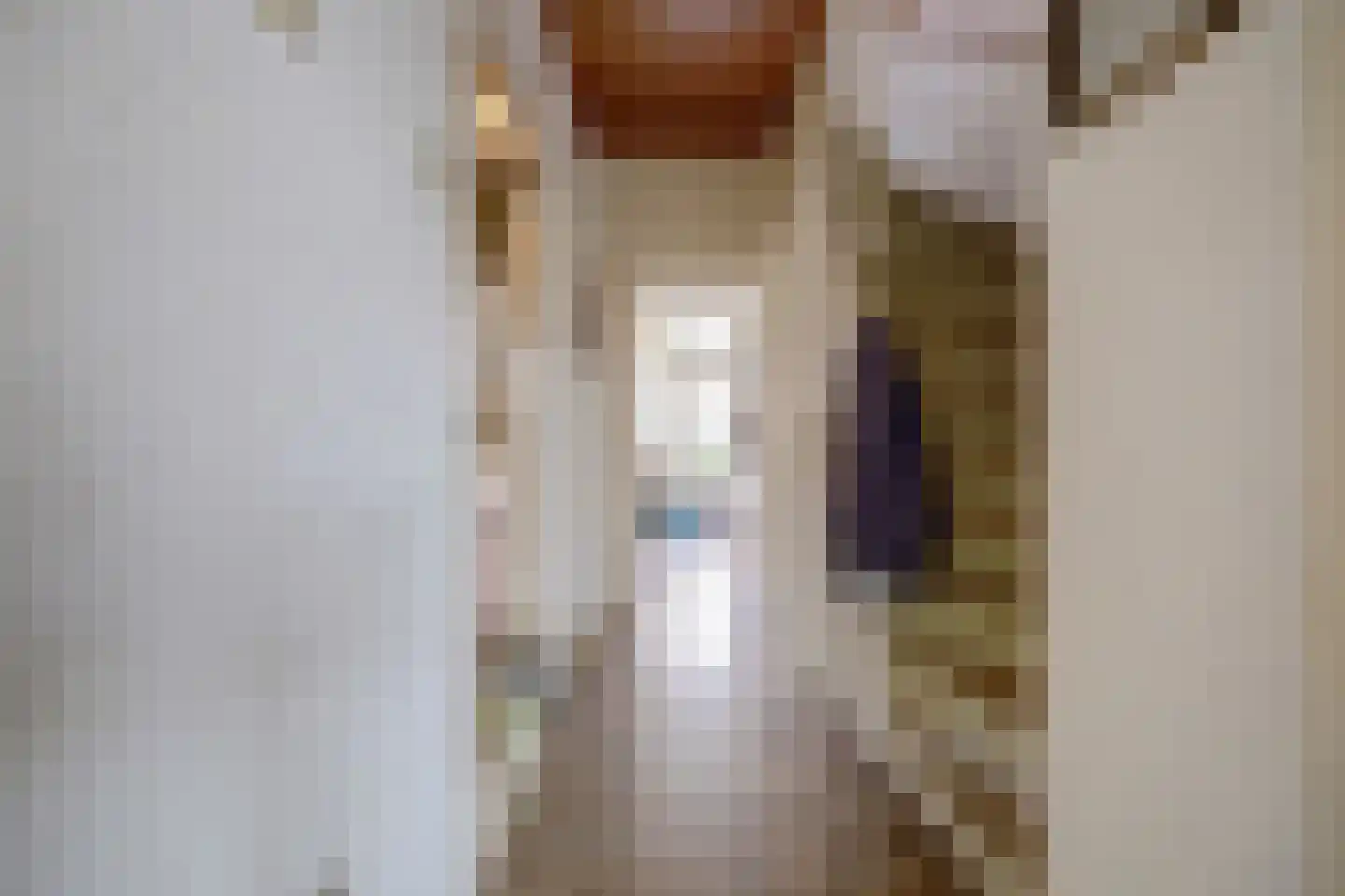 Schorpioenstraat 16 Spijkenisse thumbnail 11