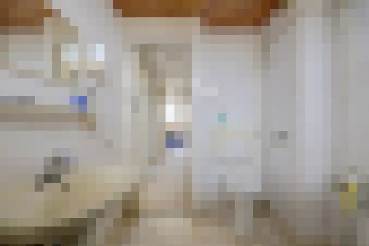 Schorpioenstraat 16 Spijkenisse thumbnail 17