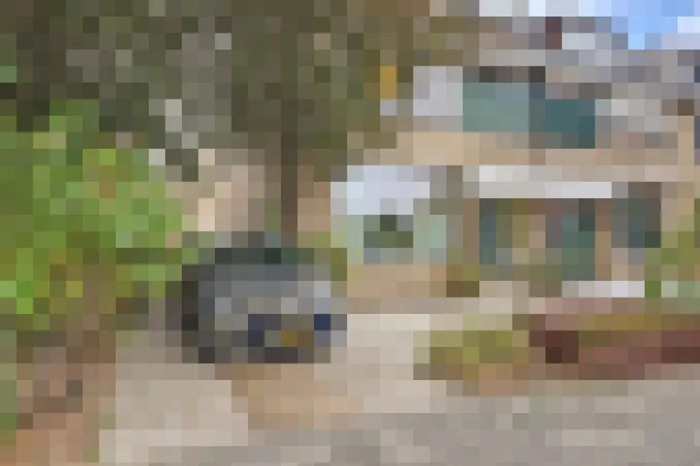 Schorpioenstraat 16 Spijkenisse thumbnail 24