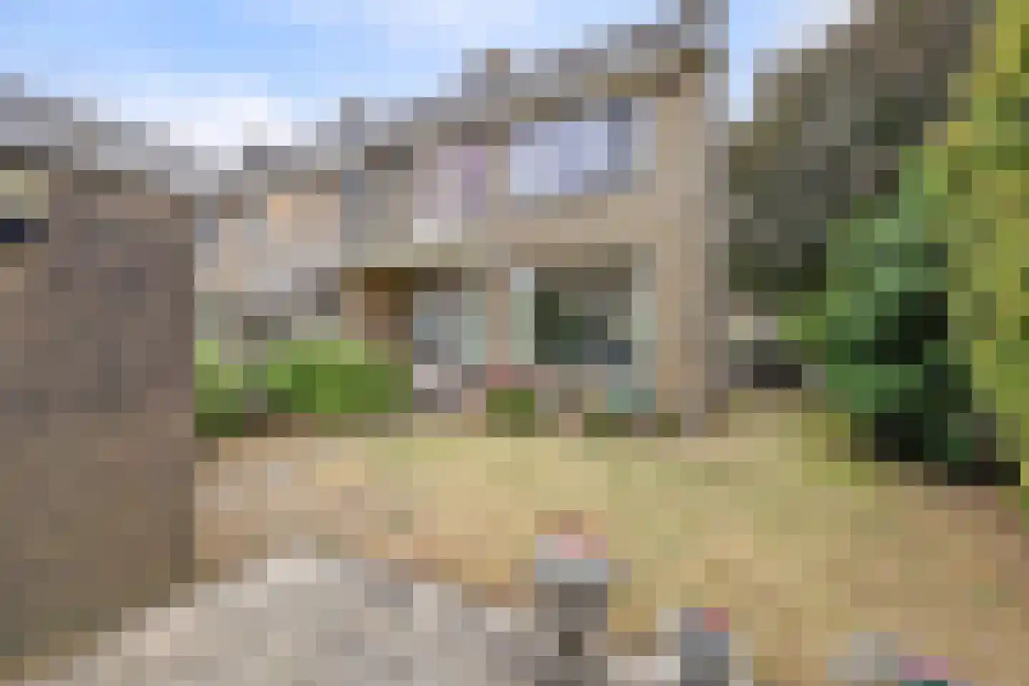Schorpioenstraat 16 Spijkenisse thumbnail 6