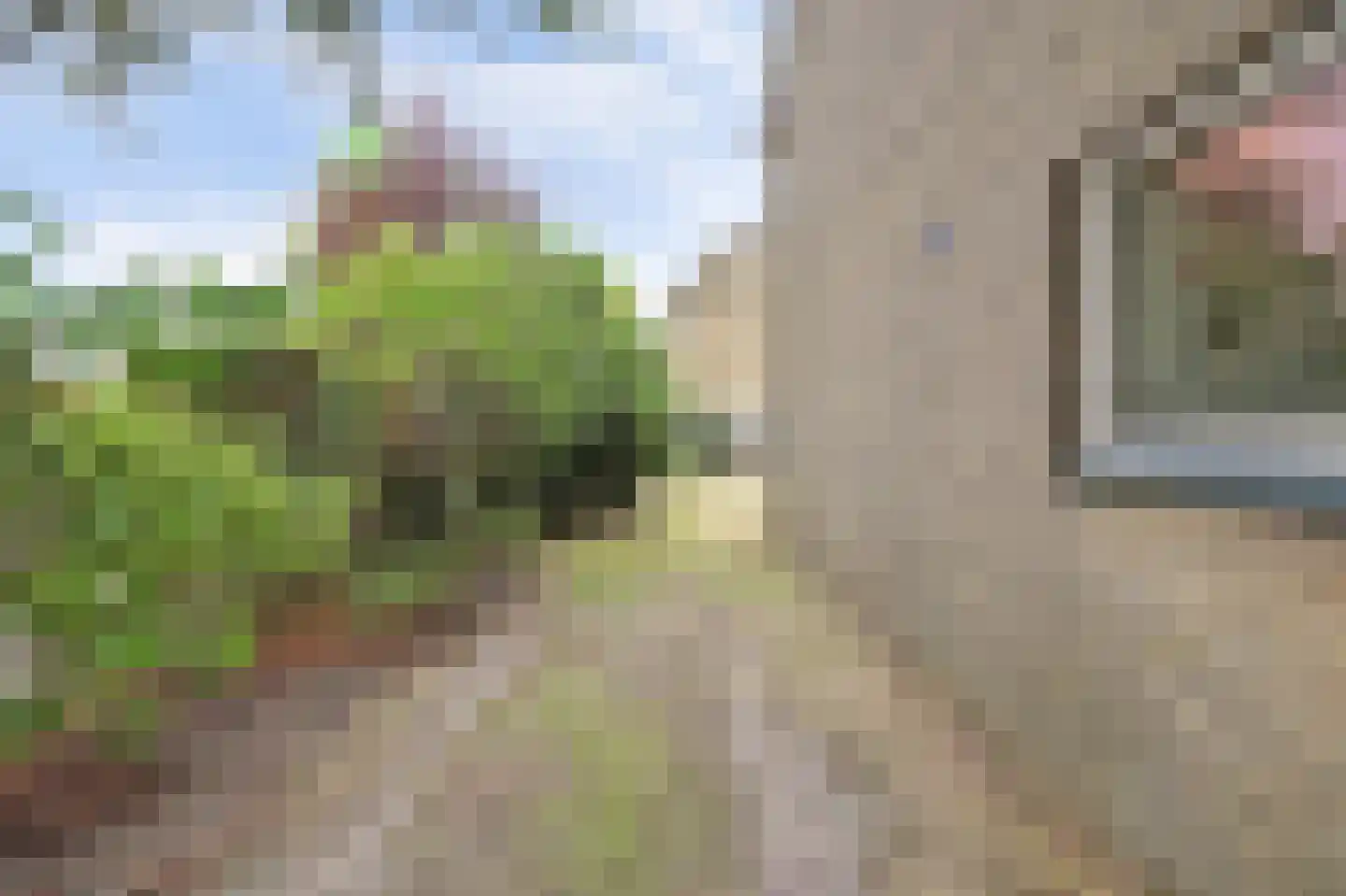Schorpioenstraat 16 Spijkenisse thumbnail 9