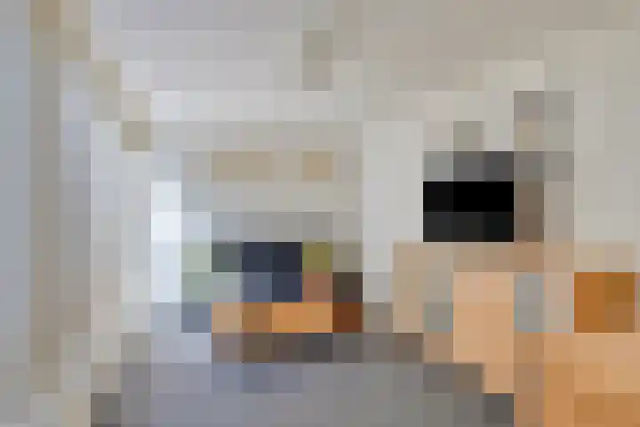 Schorpioenstraat 37 Emmeloord thumbnail 10