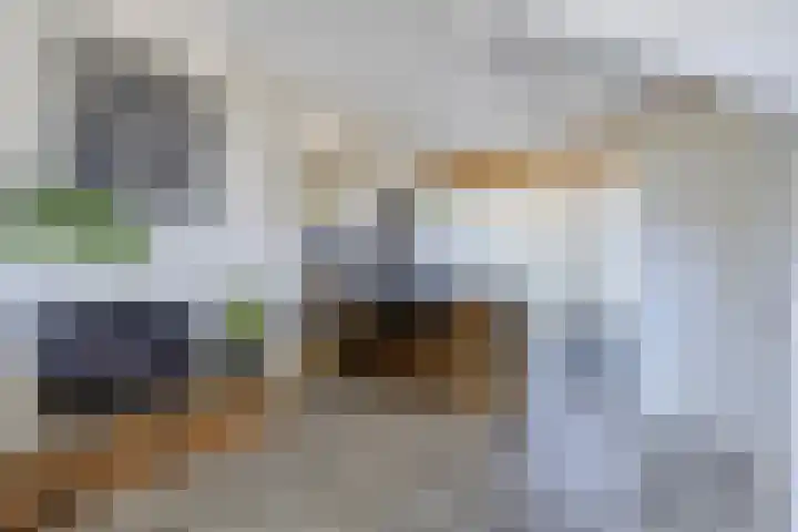 Schorpioenstraat 37 Emmeloord thumbnail 16