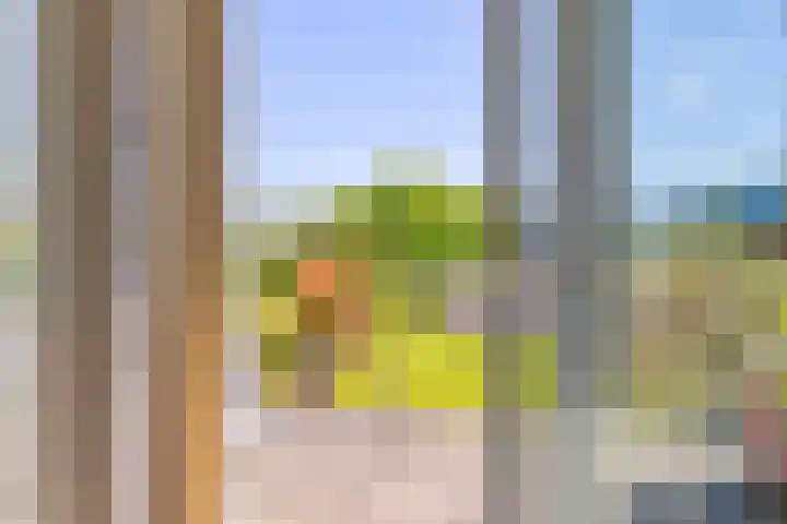 Schorpioenstraat 37 Emmeloord thumbnail 18