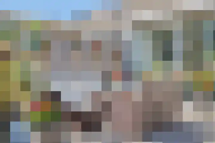 Schorpioenstraat 37 Emmeloord thumbnail 31