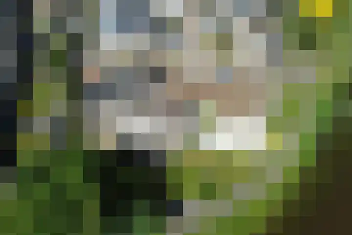 Schorpioenstraat 37 Emmeloord thumbnail 35