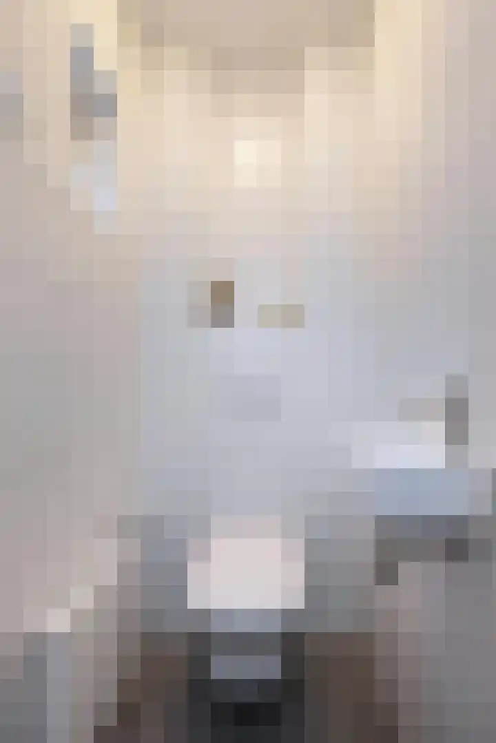 Schorpioenstraat 5 Hengelo thumbnail 10