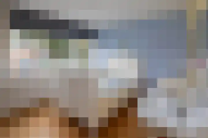 Schorpioenstraat 5 Hengelo thumbnail 13