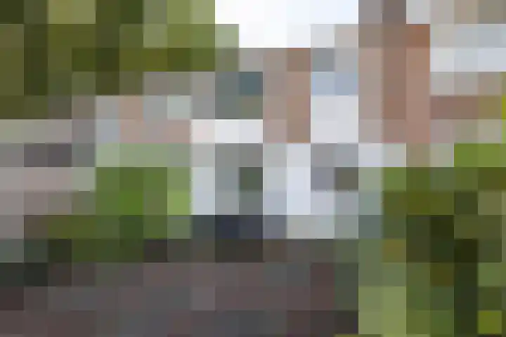 Schorpioenstraat 5 Hengelo thumbnail 22