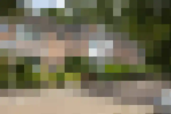 Schorpioenstraat 5 Hengelo thumbnail 29