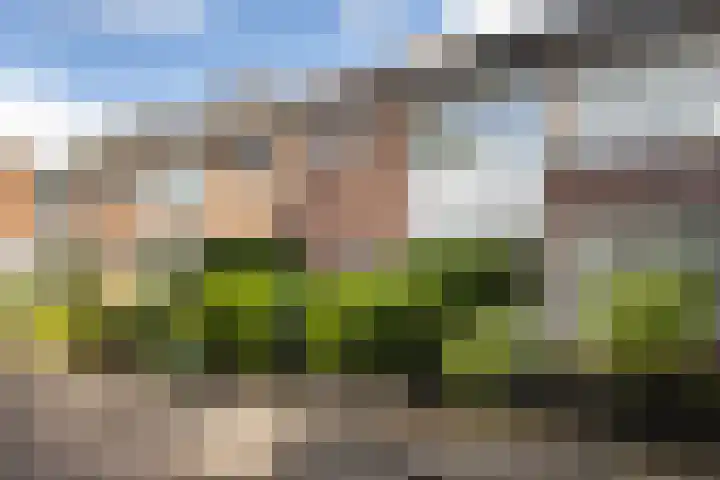 Schorpioenstraat 5 Hengelo thumbnail 30