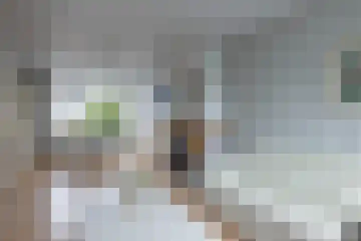 Schorpioenstraat 5 Hengelo thumbnail 4