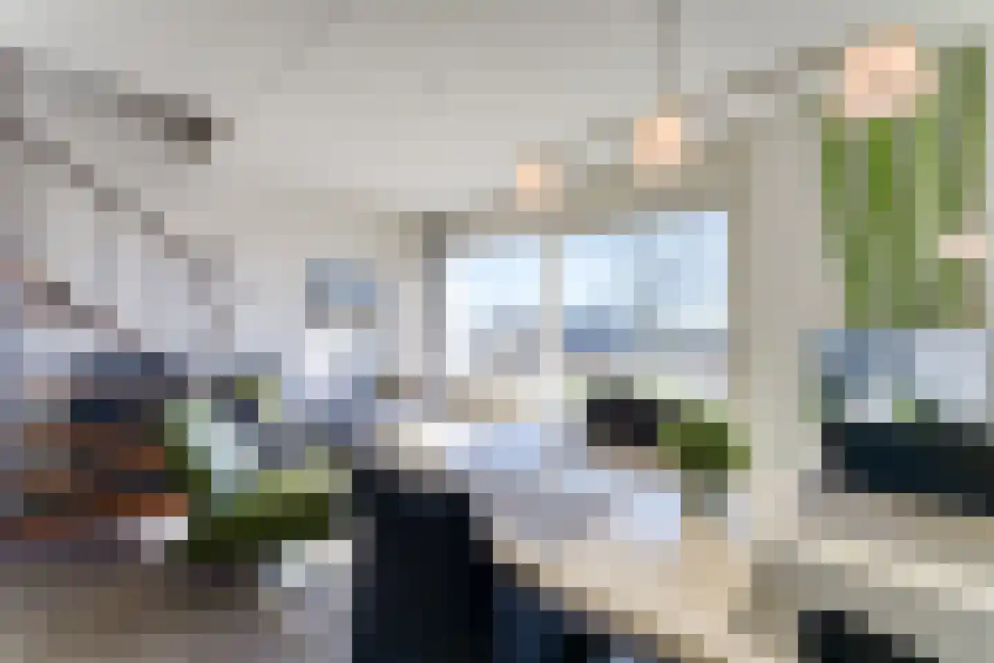 Schorrebloem 36 Nieuwvliet thumbnail 10