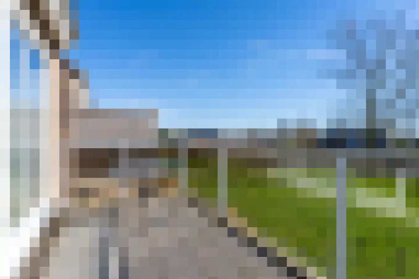 Schorrebloem 36 Nieuwvliet thumbnail 15