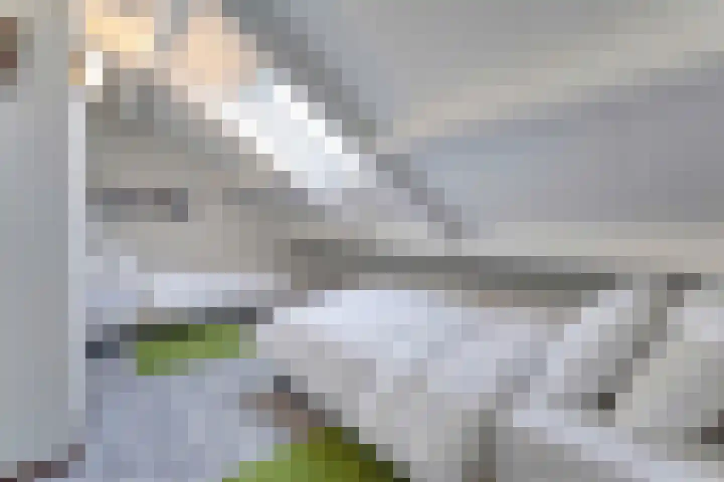 Schorrebloem 36 Nieuwvliet thumbnail 17