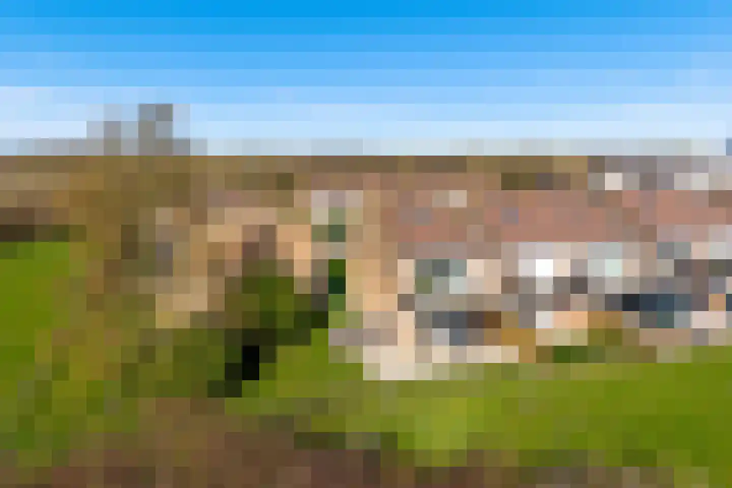 Schorrebloem 36 Nieuwvliet thumbnail 20