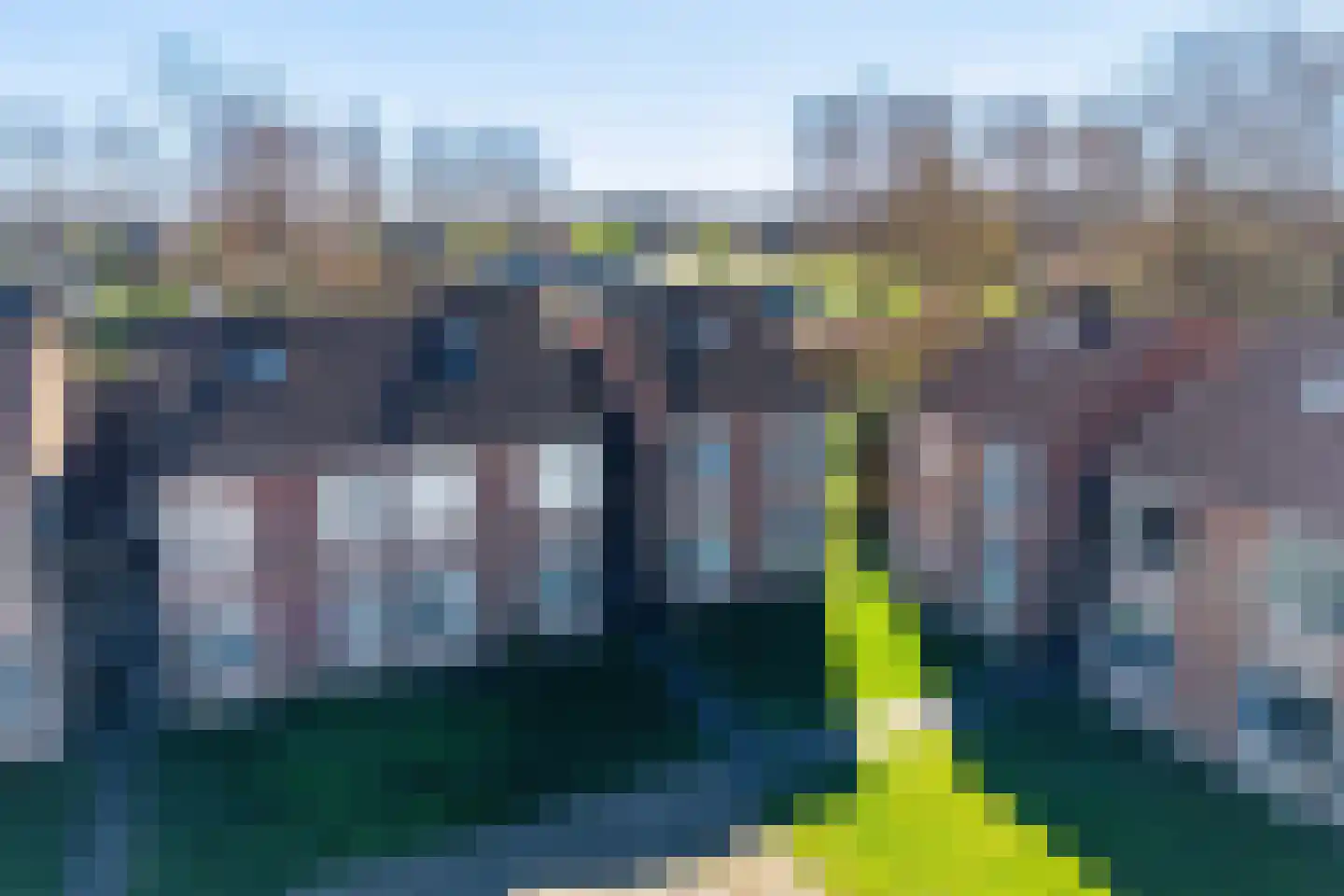 Schorrebloem 36 Nieuwvliet thumbnail 20