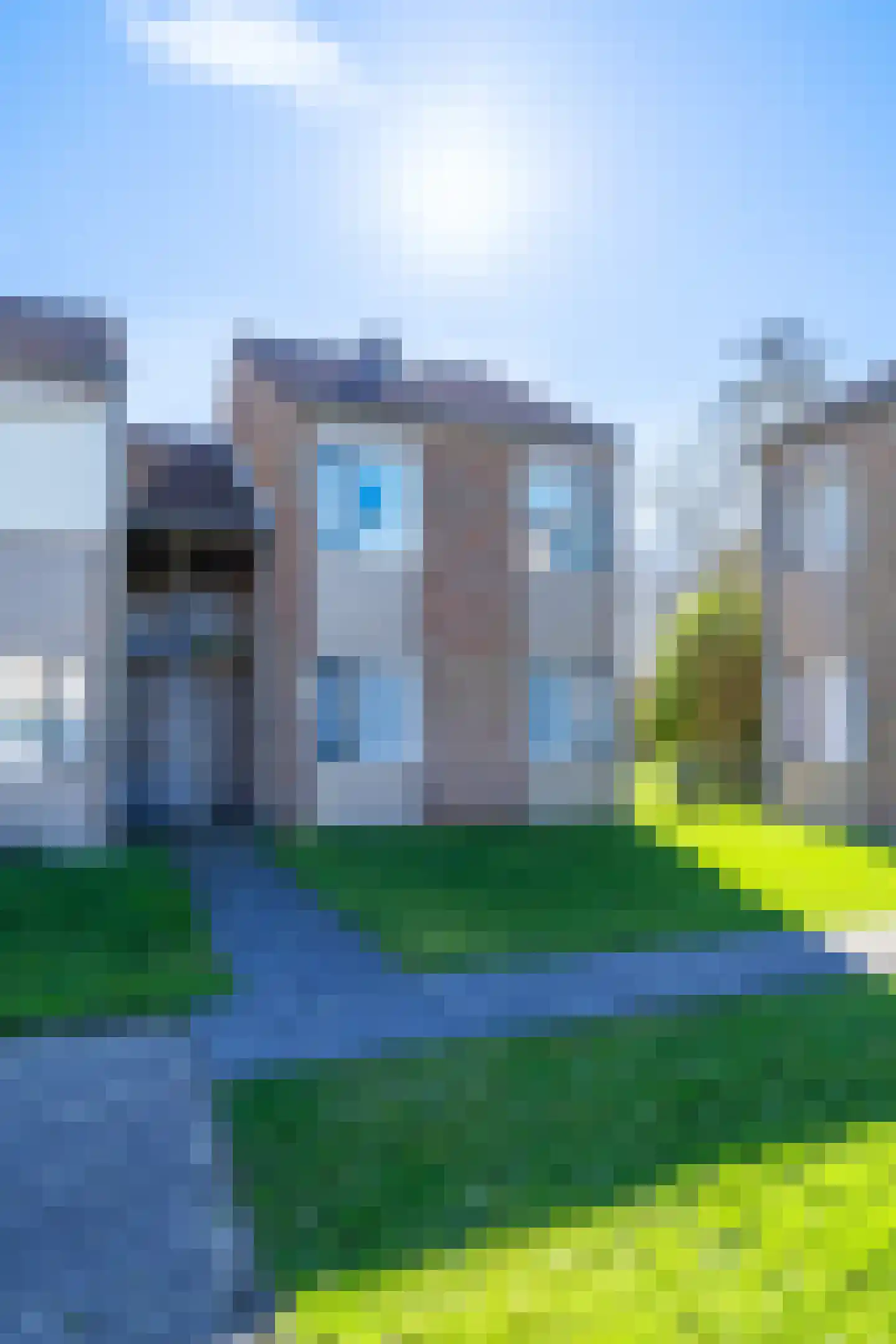 Schorrebloem 36 Nieuwvliet thumbnail 21