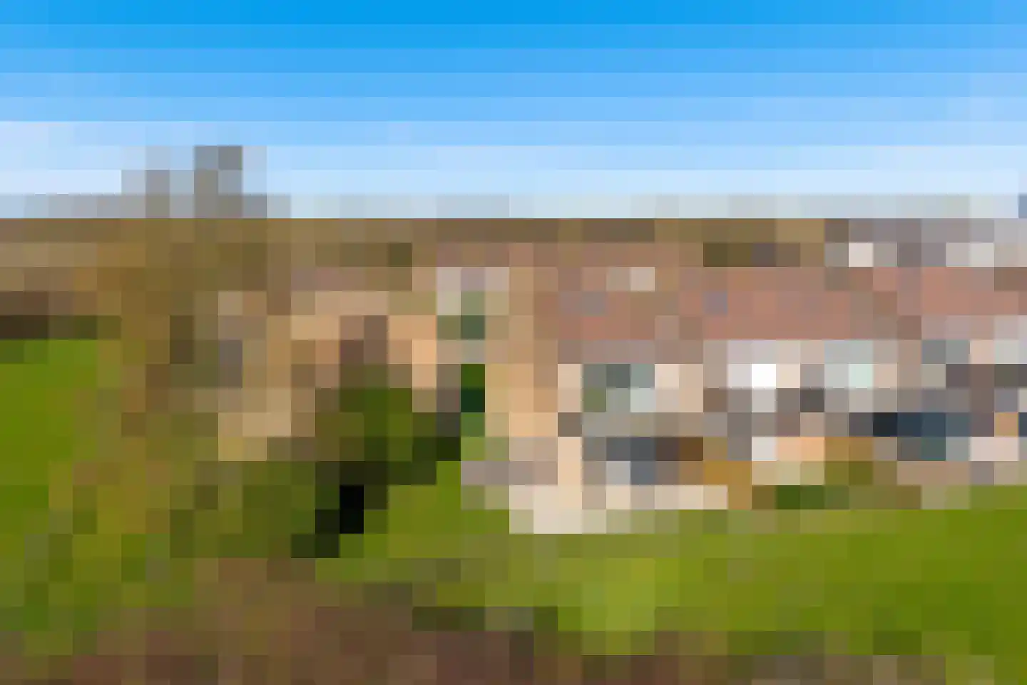Schorrebloem 36 Nieuwvliet thumbnail 22