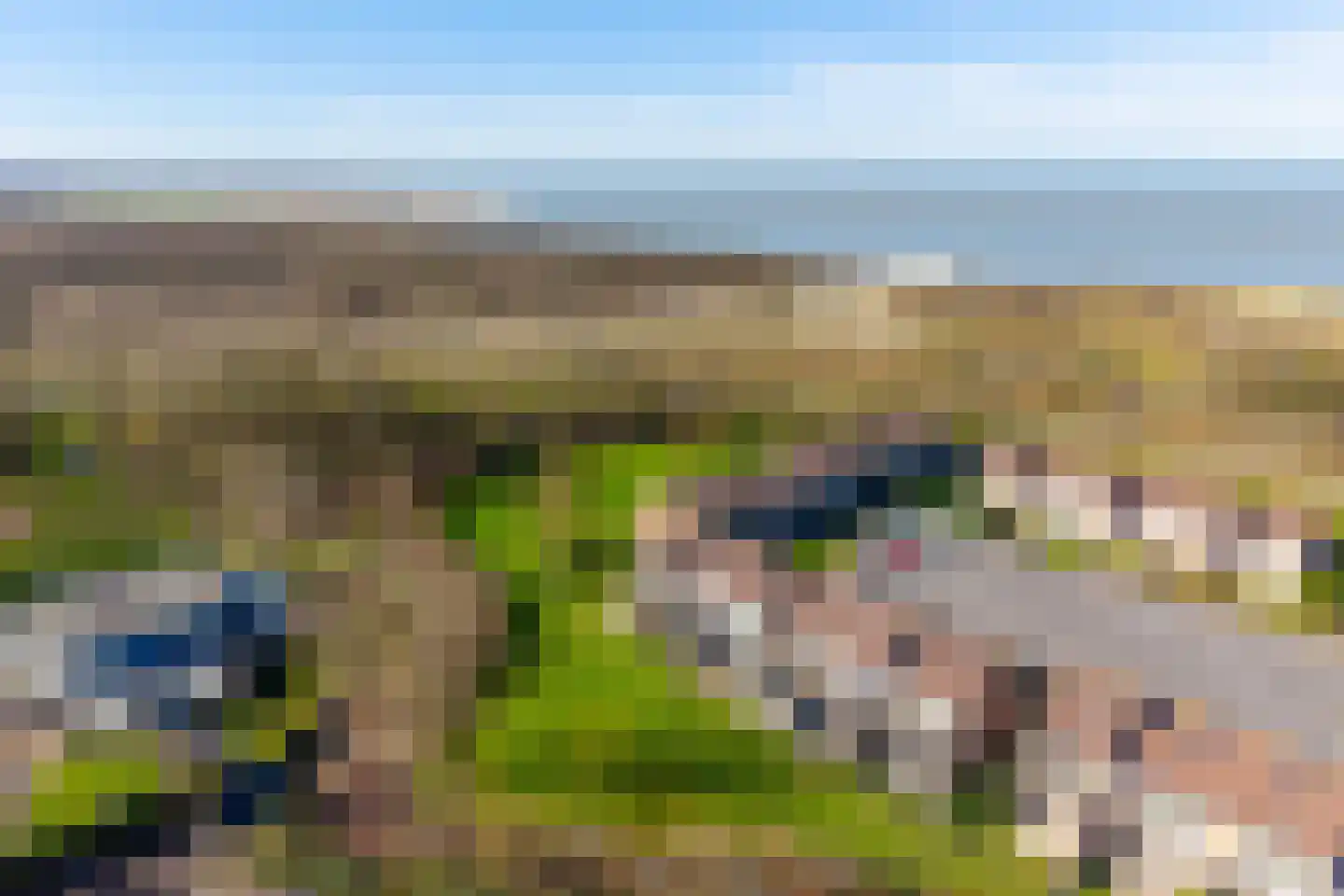 Schorrebloem 36 Nieuwvliet thumbnail 5