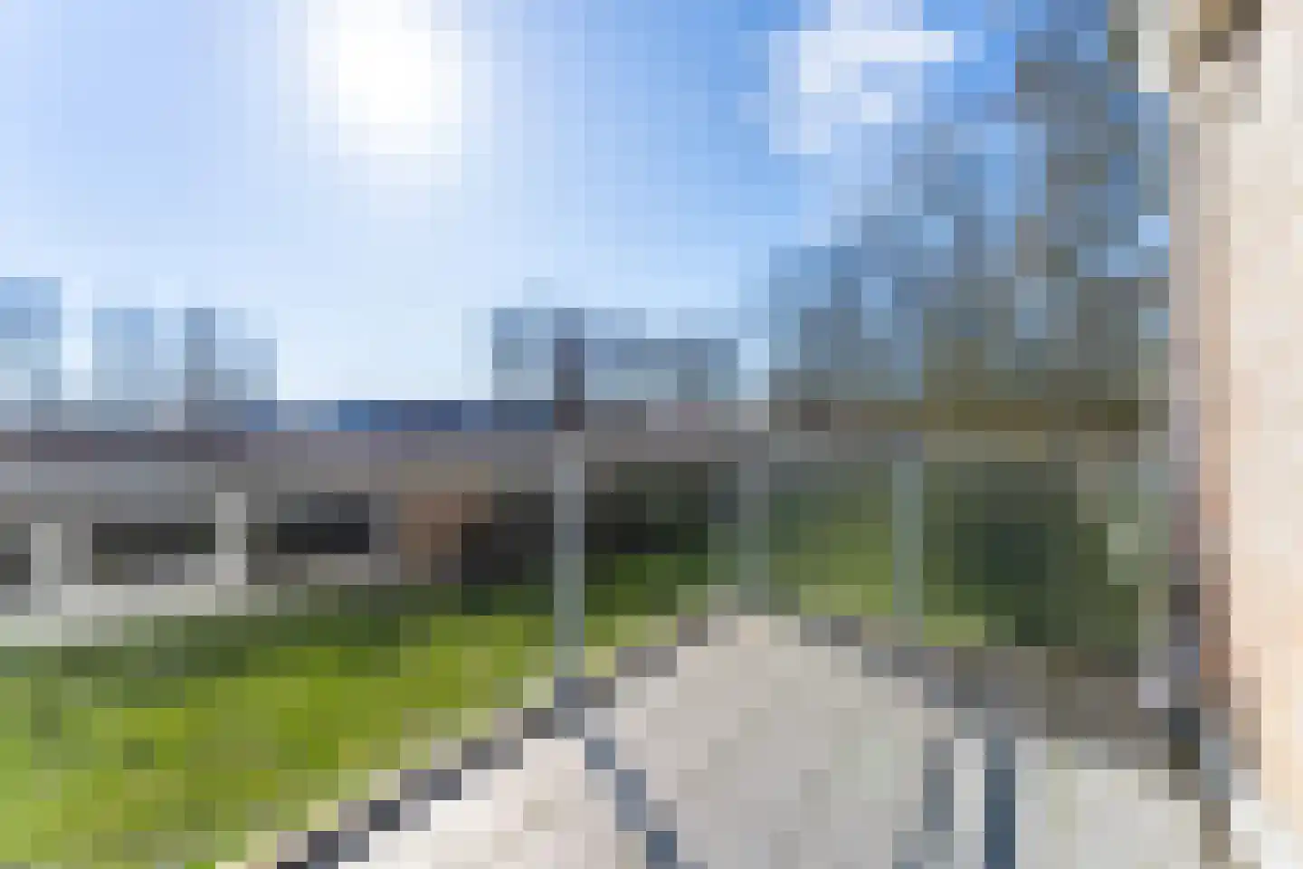 Schorrebloem 36 Nieuwvliet thumbnail 6
