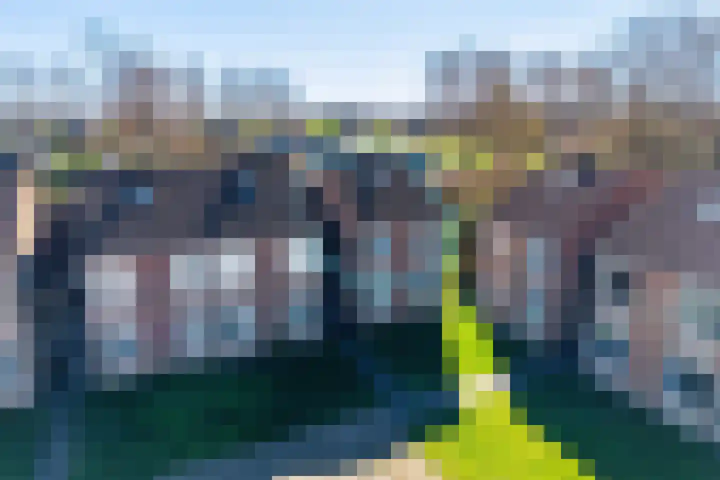 Schorrebloem 36 Nieuwvliet thumbnail 7