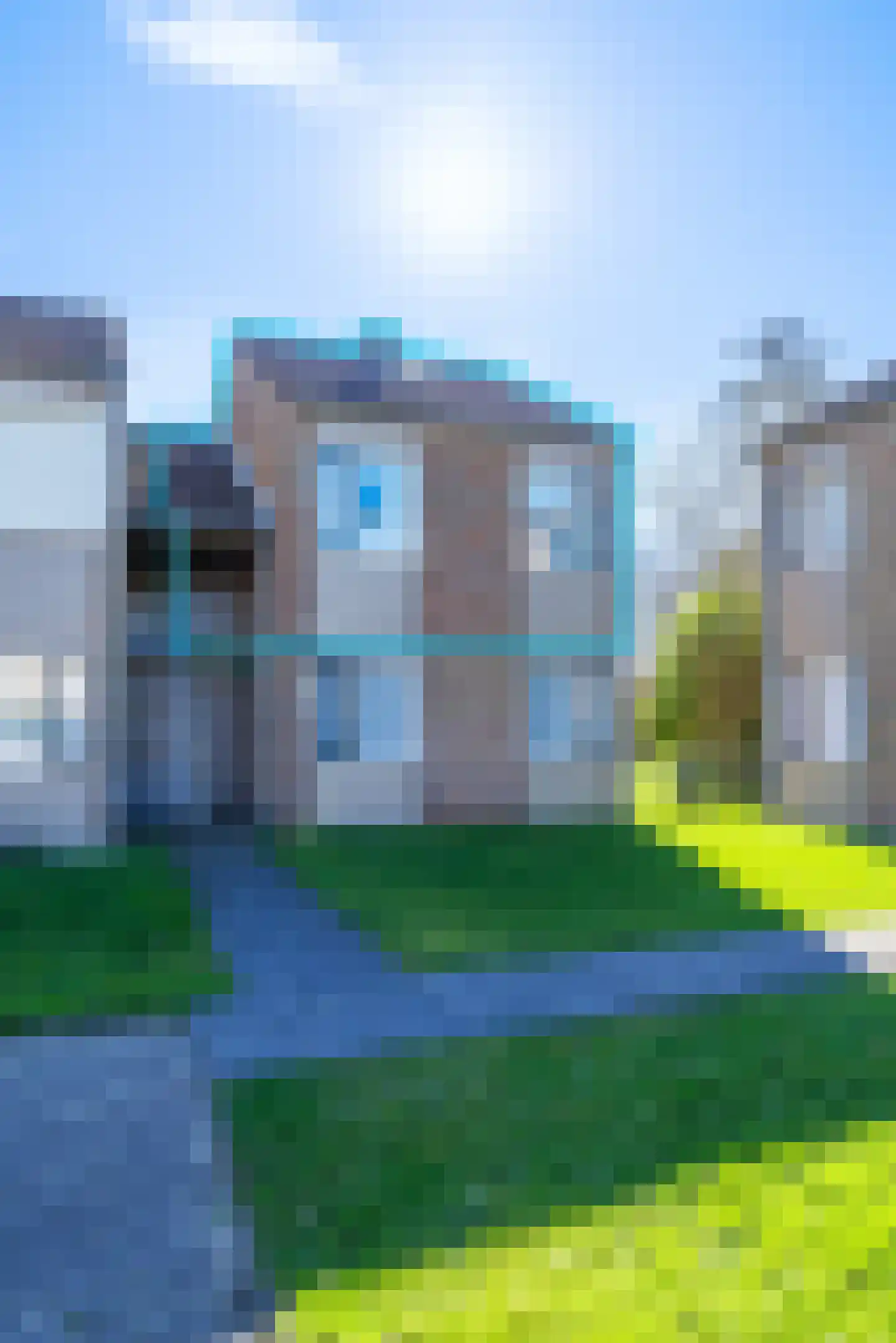 Schorrebloem 36 Nieuwvliet thumbnail 8