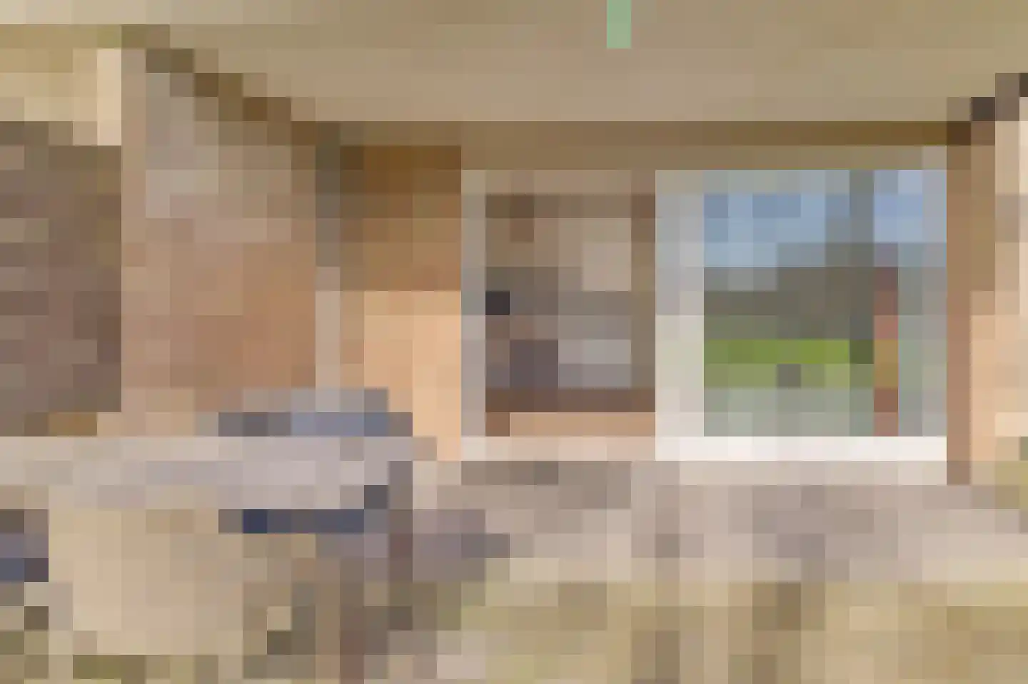 Schorrebloem 38 Nieuwvliet thumbnail 10