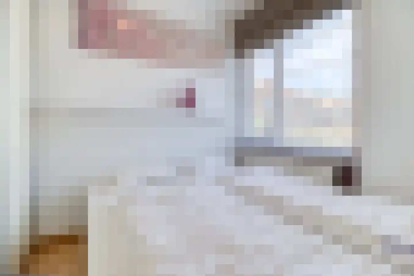 Schorrebloem 38 Nieuwvliet thumbnail 15