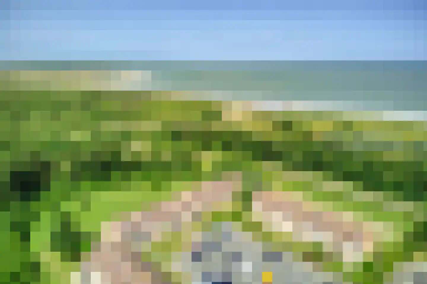 Schorrebloem 38 Nieuwvliet thumbnail 22