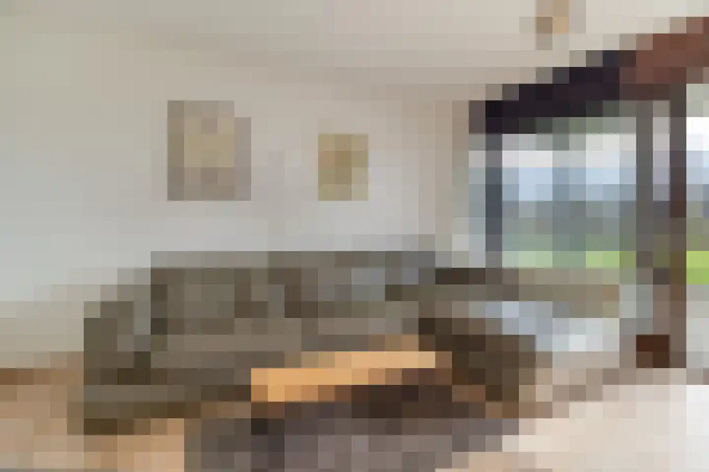 Schorrebloem 38 Nieuwvliet thumbnail 5