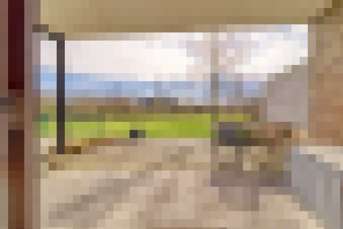 Schorrebloem 38 Nieuwvliet thumbnail 9