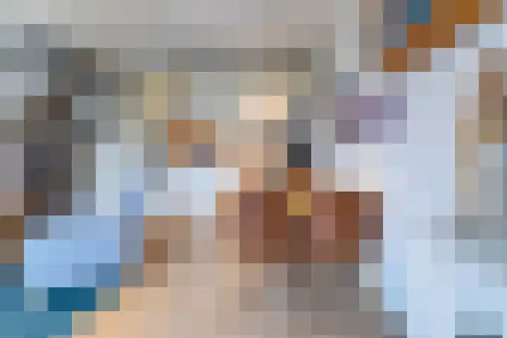 Schorrebloem 41 Nieuwvliet thumbnail 11